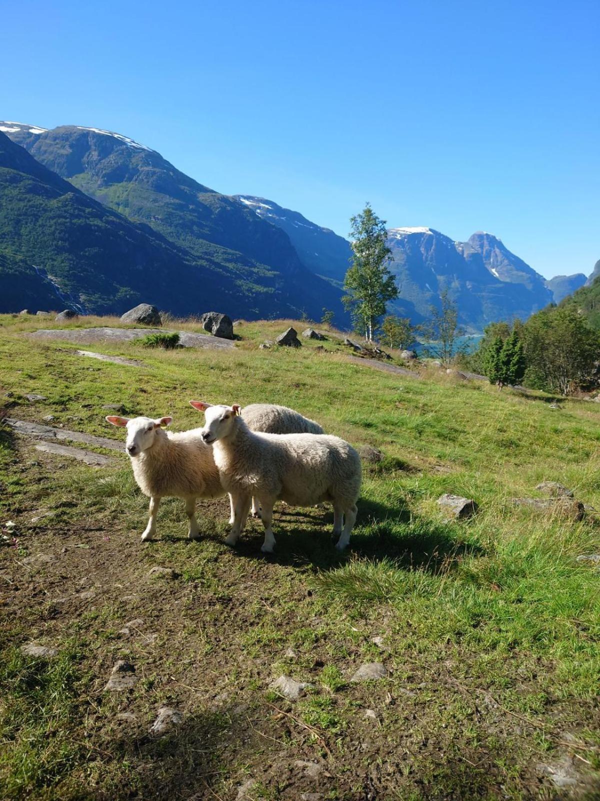 Trollbu Aabrekk gard Villa Briksdalsbre Buitenkant foto